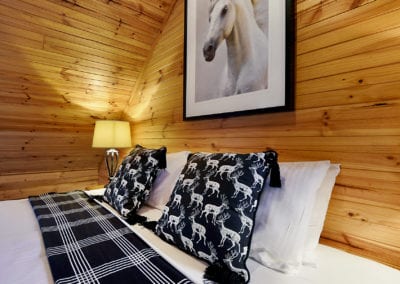 bedroom caribou arty